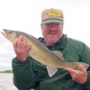 Walleye larry Lashley 6-10-08